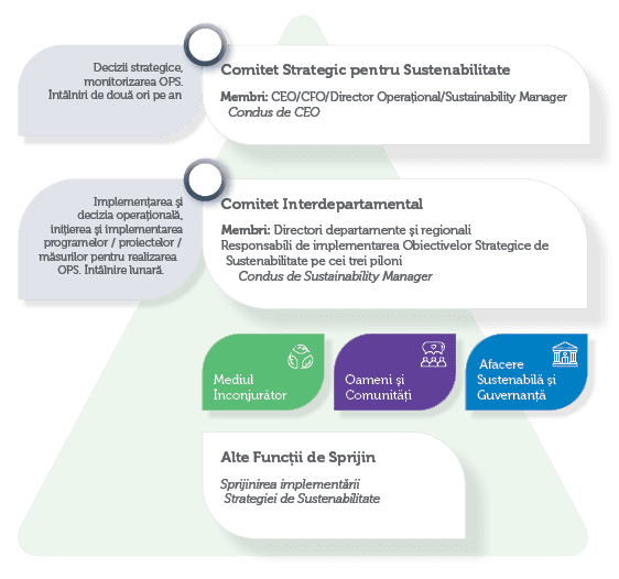 Decizii strategice, monitorizarea OPS. 