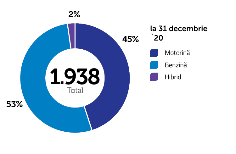 Flotă rent-a-car, %