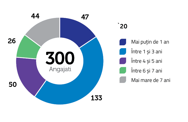 Reprezentarea pe vechime în numărul total al angajaților la nivelul ultimilor doi ani:
